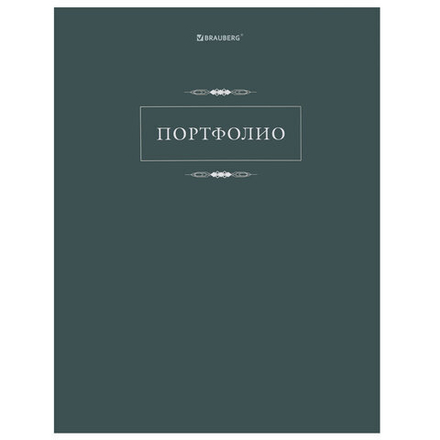 Папка-портфолио универсальная, 4 кольца, 20 файлов, 7БЦ матовая, BRAUBERG "Classic", 117554