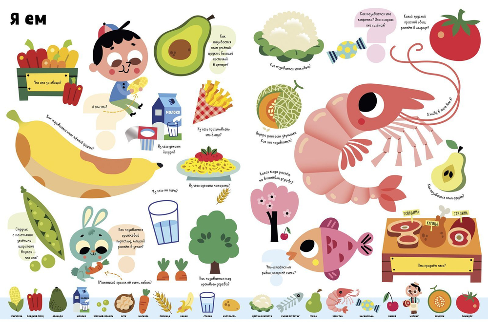 Большая викторина обо всём на свете в картинках