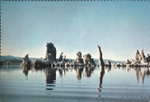 Pink Floyd / Wish You Were Here (LP)