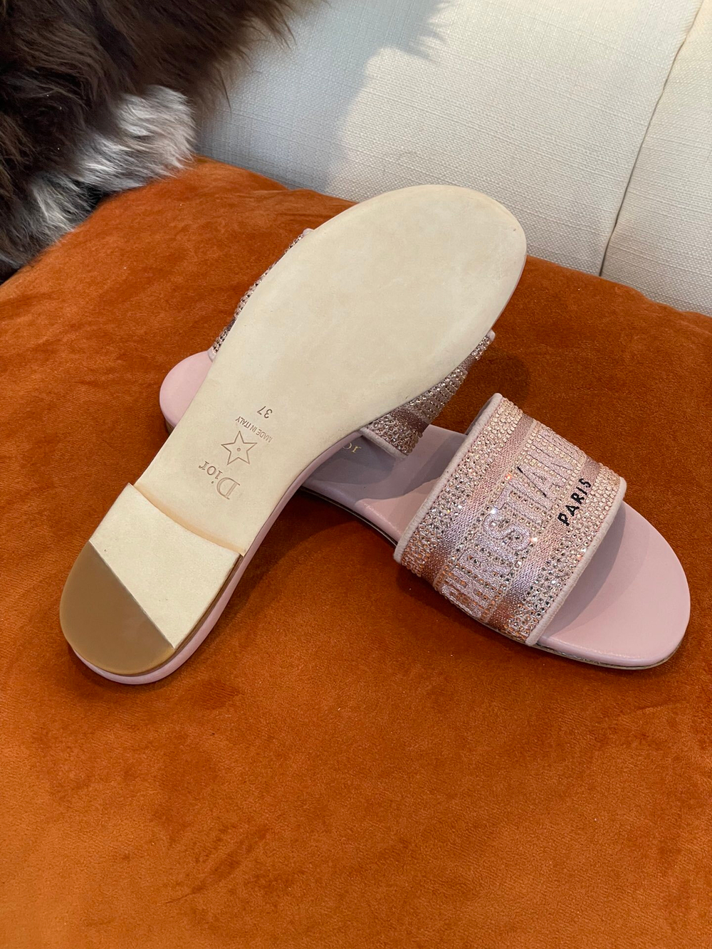 Christian Dior Dway Slide