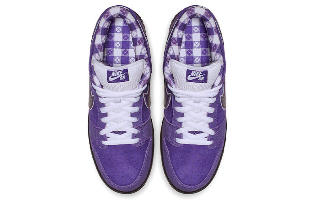 Кроссовки Concepts X Nike Dunk Sb Pro
