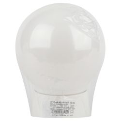 Светильник ЭРА НБП 01-60-004 с наклонным основанием Гранат полиэтилен IP20 E27 max 60 | Светильники ЖКХ IP20