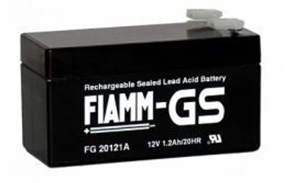 Аккумулятор FIAMM FG24204