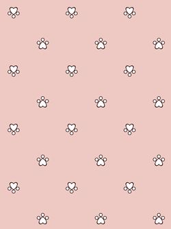 Наволочка комплект 2шт перкаль Сказка "Котики (комп)" 50x70 см на молнии