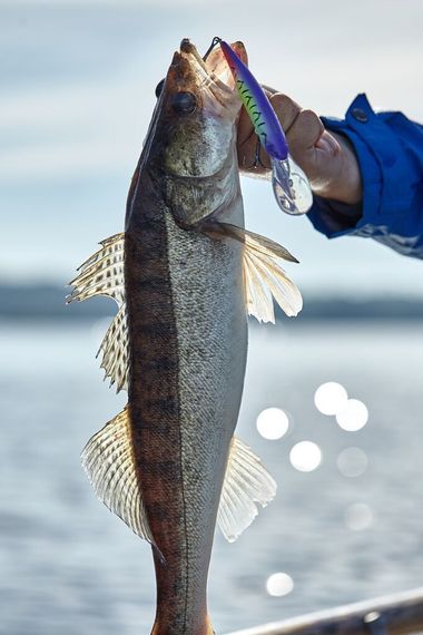 Воблер плавающий LJ ORIGINAL DEMON DIVER F 12.00/007