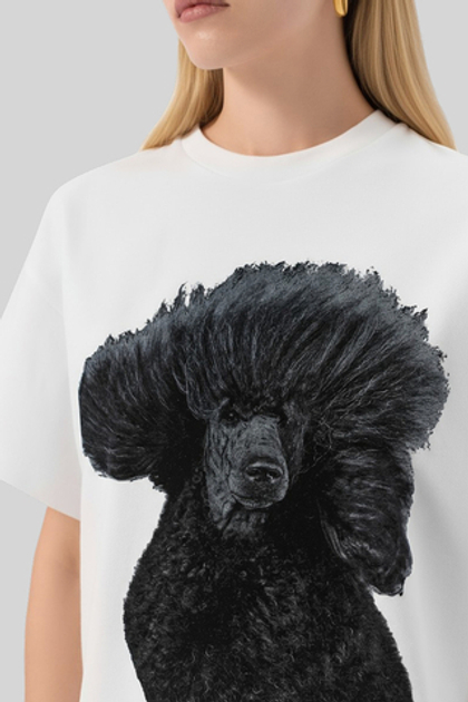 BOSS Футболка из плотного хлопка с принтом