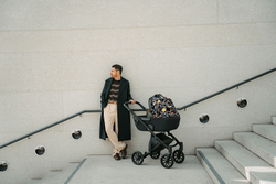 Детская коляска Anex e/type 2 в 1 art