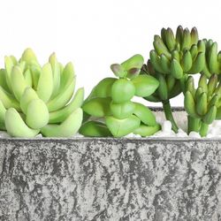 Растение в горшке Eglo Chitose 428009