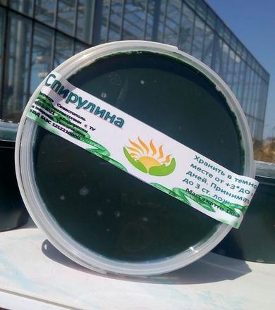 Здоровое питание