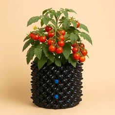 Горшки для выращивания