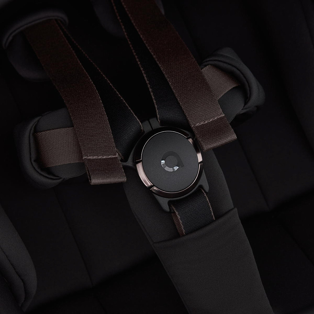 Детская коляска Anex Flo x Avionaut Cosmo 3 в 1 без адаптеров Lungo/ss-06 Black