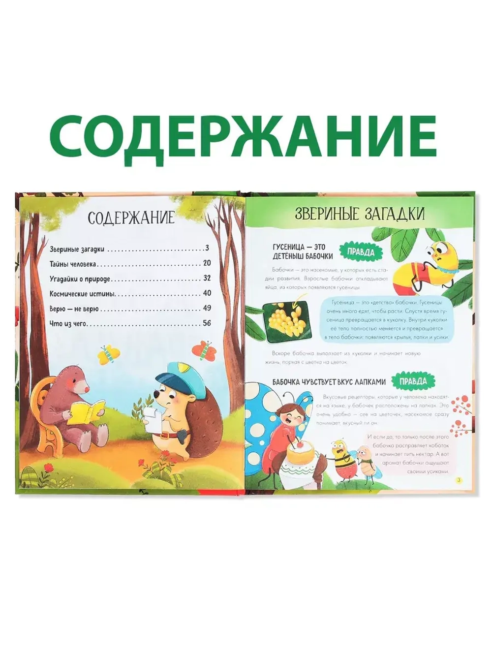 Энциклопедия в твёрдом переплёте А это правда?