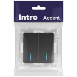 Выключатель Intro Accent 6-105-05 двойной с подсветкой, 10А-250В, IP20, СУ, AL/CU, антрацит | Intro