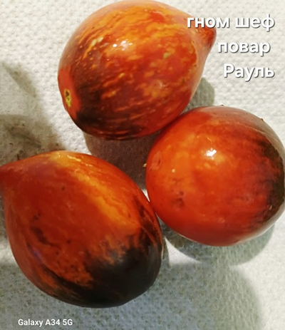 ГНОМ ШЕФ ПОВАР РАУЛЬ БОКЮЗ