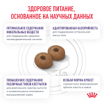 Royal Canin Neutered Adult Small Dogs Ньютрид Эдалт Смол Догз Корм сухой для взрослых стерилизованных кастрированных собак мелких пород 800г