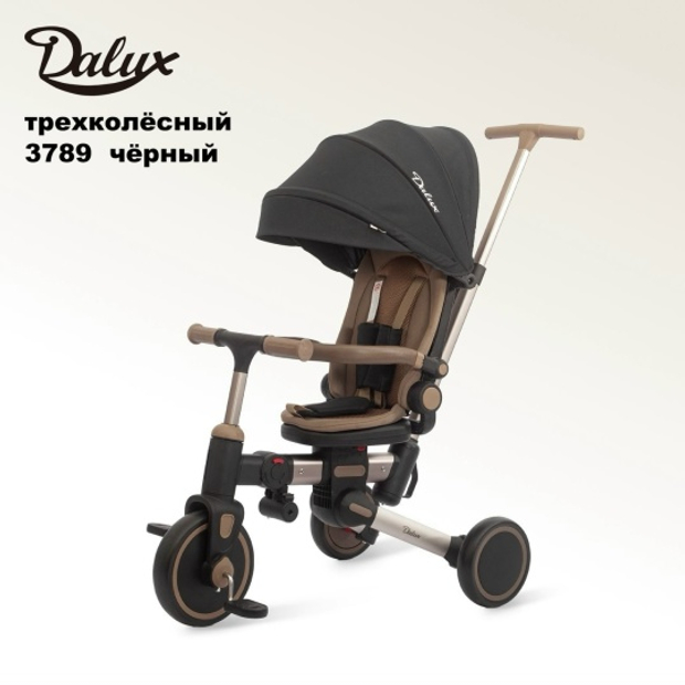 Велосипед с ручкой Dalux ( черный ) складной