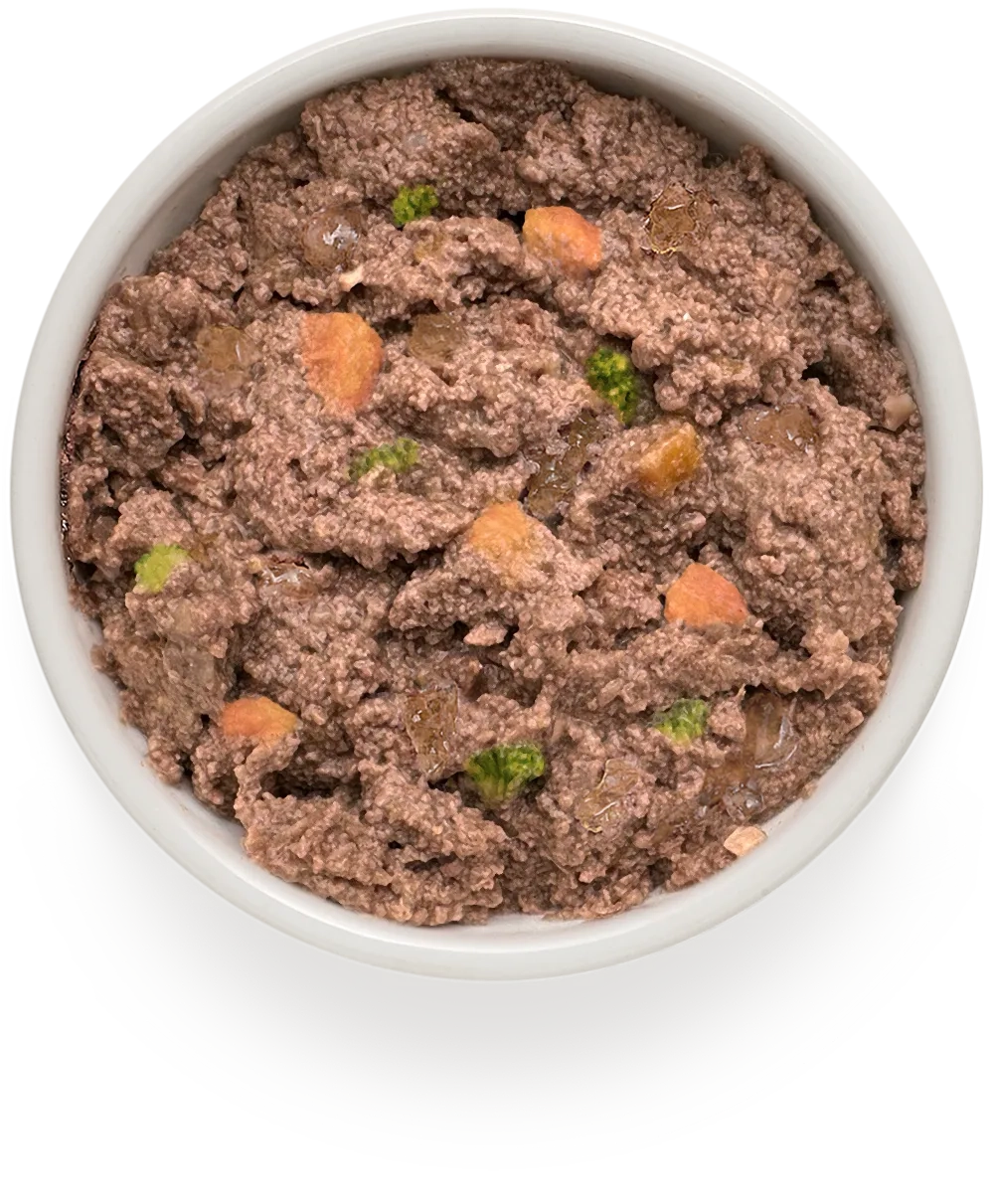 Консервы для собак GRANDORF Lamb pumpkin broccoli pate Монопротеиновый влажный корм из ягненка с тыквой и брокколи для собак 6шт по 200гр