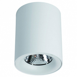 Накладной светильник Arte Lamp A5112PL-1WH