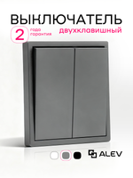 Выключатель двухклавишный внутренний с рамкой серый