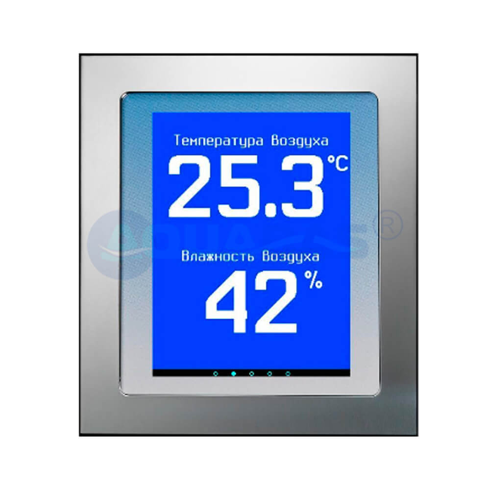 Универсальный выносной дисплей OSF Pool-Display.NET (317.000.1000)