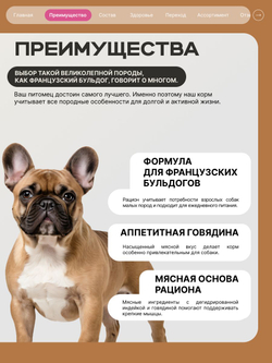 Корм сухой для взрослых собак породы Французский бульдог, с говядиной, 12 кг, QUATTRO