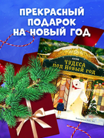 Книжки-картинки. Чудеса под Новый год