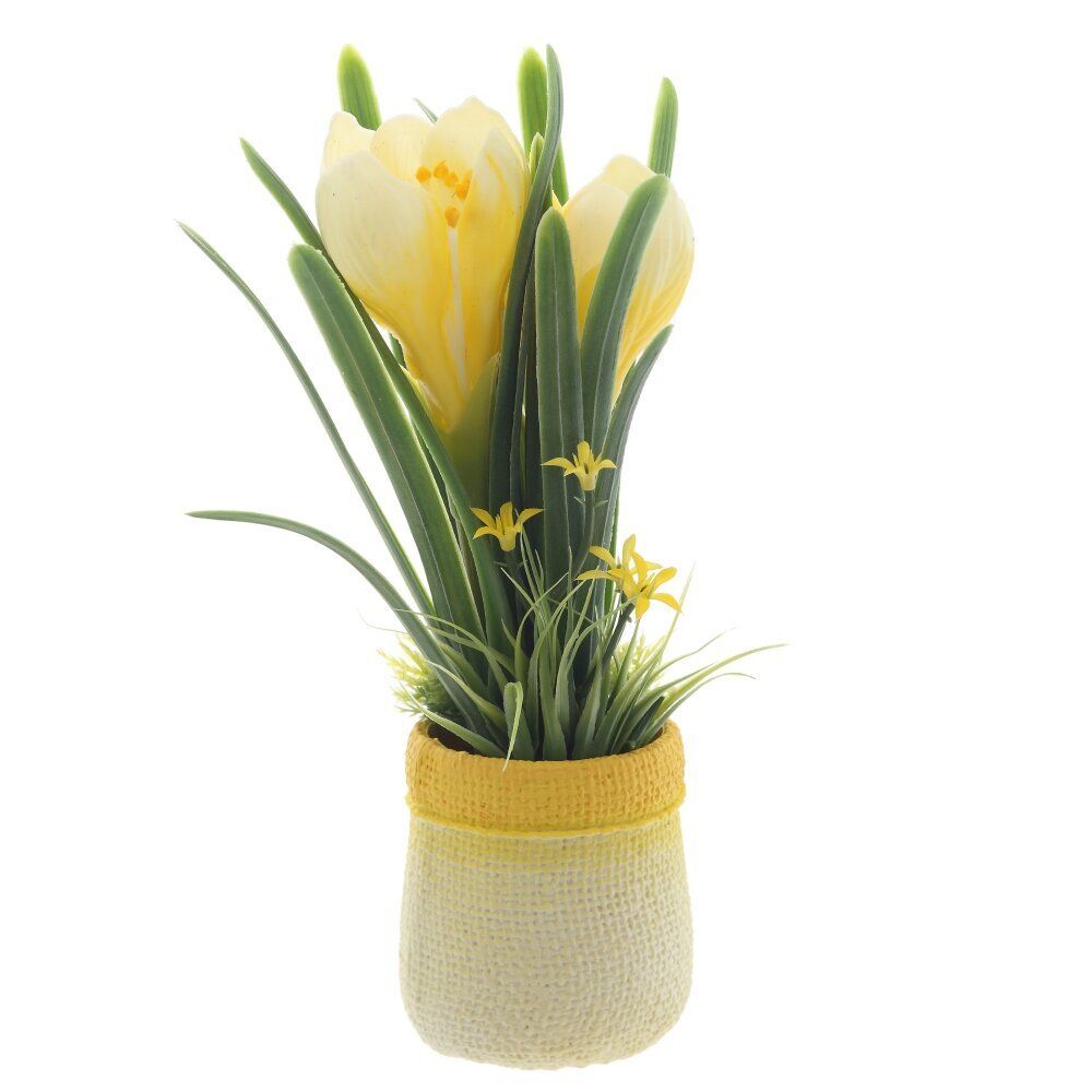GAEM Цветочная композиция "Крокусы", L12 W10 H22 см