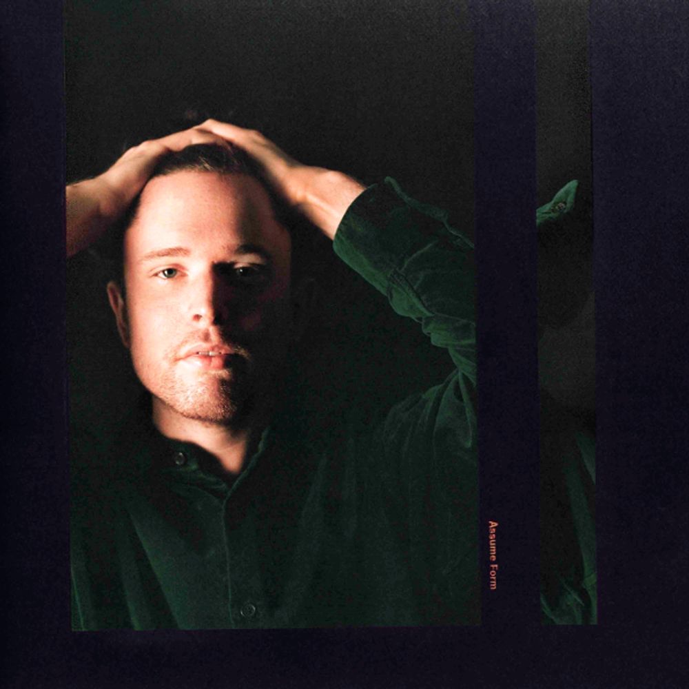 James Blake / Assume Form (2LP)