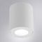 Потолочный светильник Arte Lamp Tino A1469PL-1WH
