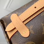 Louis Vuitton CarryAll Nano