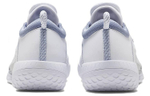 Кроссовки Nike Court Zoom Nxt