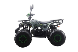 Квадроцикл MOTAX ATV Grizlik Premium 125cc