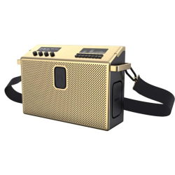 Беспроводная акустика Defunc Mondo BT Speaker Large Gold