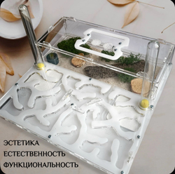 Супер большой Формикарий с муравьями в подарок  «XXXL Белый»