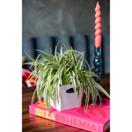 Контейнер для хранения boxxx, organic, 1 л, зеленый