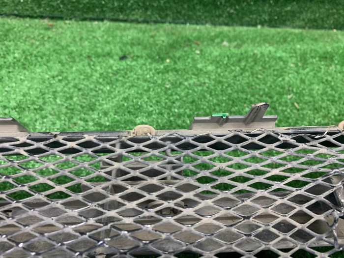 Решетка радиатора Toyota Land Cruiser 200 (2007-2012)