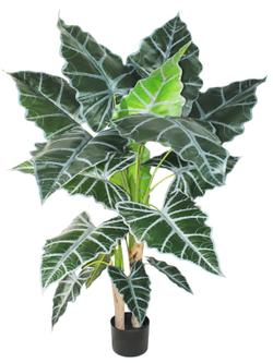Искусственное растение Алоказия 150см в кашпо