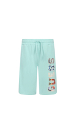 Шорты Guess - мятный(L4GD04 KA6R3)