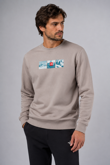 Кофта THE NORTH FACE M CREW EXPEDITION SYSTEM GRAPHIC MOONSTONE GREY