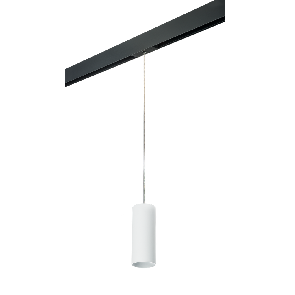 Трековый светильник Lightstar Rullo PRORP486