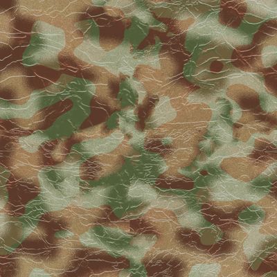 Camo Print