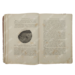 Поспелов А. И. Краткий учебник кожных болезней, 1912.