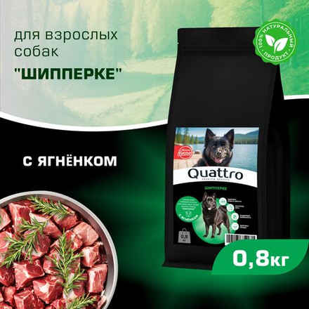 Корм сухой для взрослых собак породы Шипперке, с ягненком, 800 гр, QUATTRO