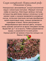 Седум Коралловый риф очиток яркий многолетник