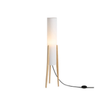 Напольный светильник (торшер) Freya FR5543FL-01T