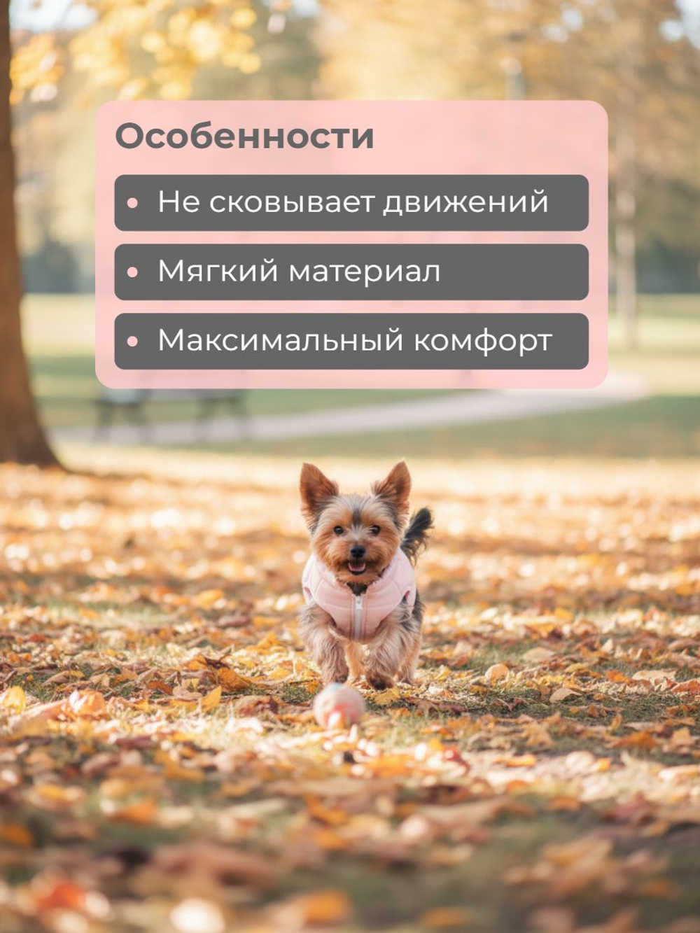 Жилет для собак