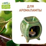 Яблоко зеленое, отдушка для свечей и мыла