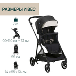Коляска Chicco Seety 2 в 1 Etna Black