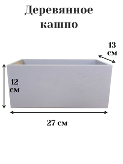 Герань белая 50см в длинном светлом кашпо