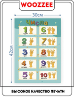 Плакат обучающий "Числа для тренировки счета"